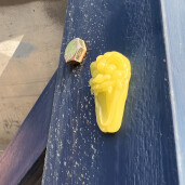 GreenLion Studios Free Art Fridays