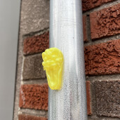 GreenLion Studios Free Art Fridays