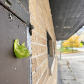 GreenLion Studios Free Art Fridays