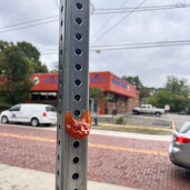 GreenLion Studios Free Art Fridays