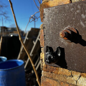 GreenLion Studios Free Art Fridays