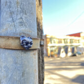 GreenLion Studios Free Art Fridays