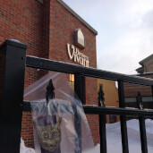 GreenLion Studios Free Art Fridays