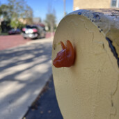 GreenLion Studios Free Art Fridays