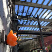 GreenLion Studios Free Art Fridays