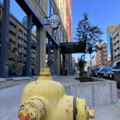 GreenLion Studios Free Art Fridays