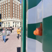 GreenLion Studios Free Art Fridays