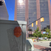 GreenLion Studios Free Art Fridays