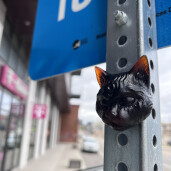 GreenLion Studios Free Art Fridays