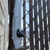 GreenLion Studios Free Art Fridays