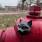 GreenLion Studios Free Art Fridays