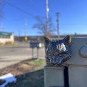 GreenLion Studios Free Art Fridays