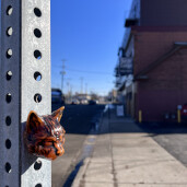 GreenLion Studios Free Art Fridays