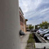 GreenLion Studios Free Art Fridays