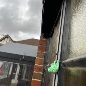 GreenLion Studios Free Art Fridays