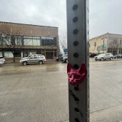 GreenLion Studios Free Art Fridays