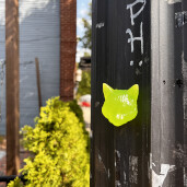 GreenLion Studios Free Art Fridays