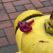 GreenLion Studios Free Art Fridays