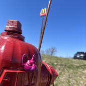 GreenLion Studios Free Art Fridays