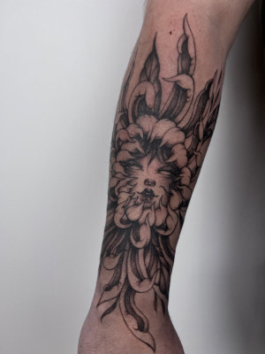 Sera Alana's Portfolio Piece